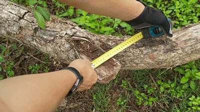 1696568792600406.gif 7.gif