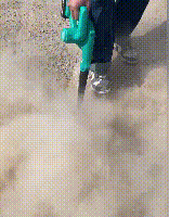 1712994163455648.gif 1712994163455648.gif