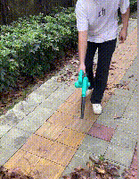 1712994253837464.gif 1712994253837464.gif